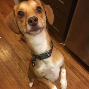 Meet your Posher, Lisa