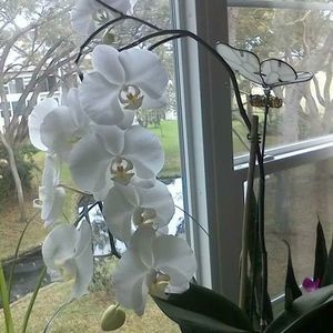 Meet your Posher, Janet