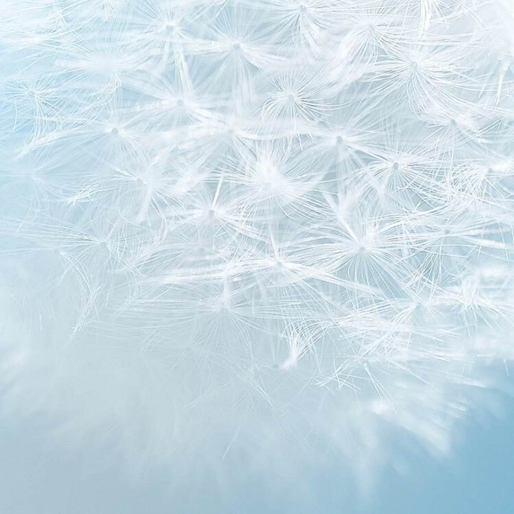 Meet your Posher, Fiona