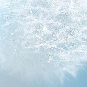 Meet your Posher, Fiona