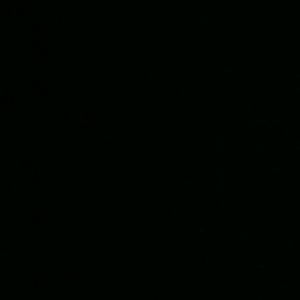 Meet your Posher, Terrance