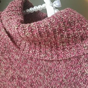 Express Slouchy Turtle Neck Sweater