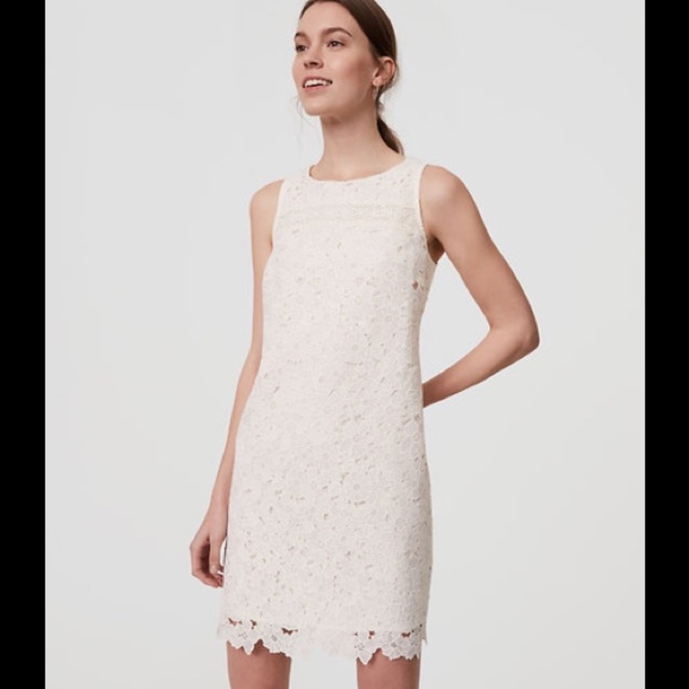 Ann Taylor loft floral lace shift dress 👗