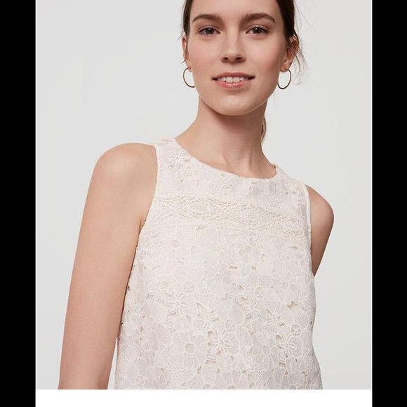 Ann Taylor loft floral lace shift dress 👗 - Picture 3 of 7