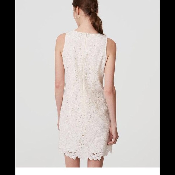 Ann Taylor loft floral lace shift dress 👗 - Picture 2 of 7