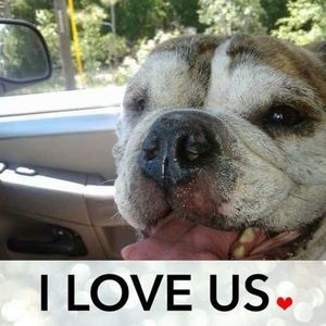 Meet your Posher, Pamela