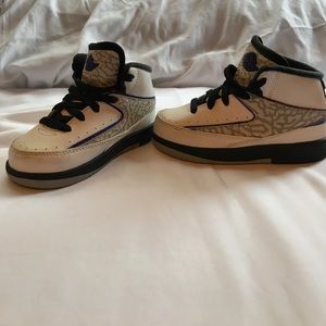 Nike Air Jordan Retro 2 Grape Concord