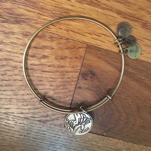 *Retired* Alex and Ani Sister Bracelet