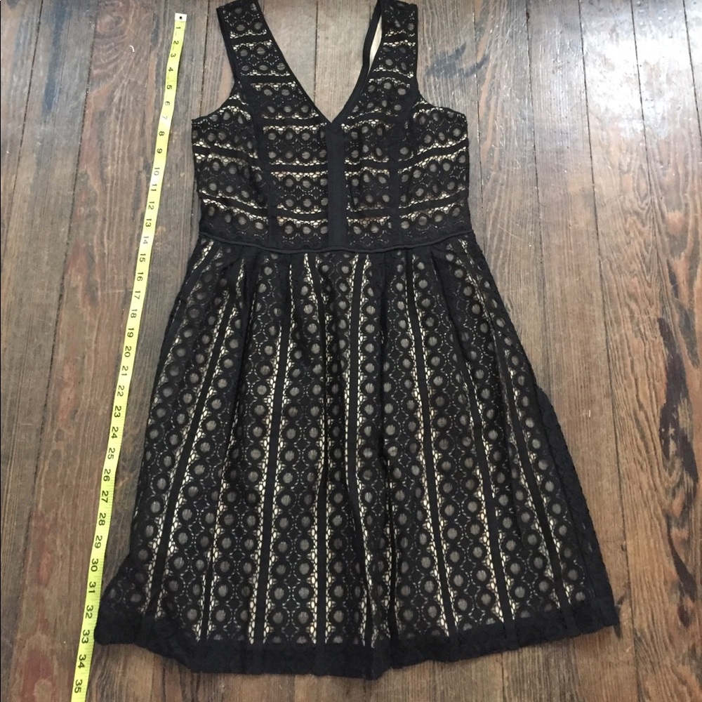 Black and nude eyelet dress, NWT