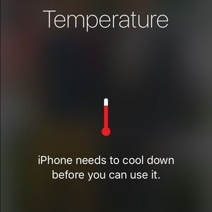 Meet your Posher, Dawson