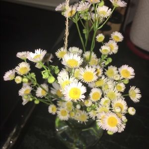 Meet your Posher, Addie