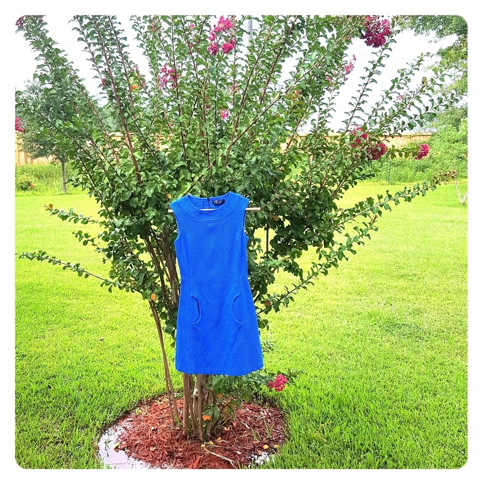 SALE 😲Vibrant Blue Form-fitting Dress w/ Pockets