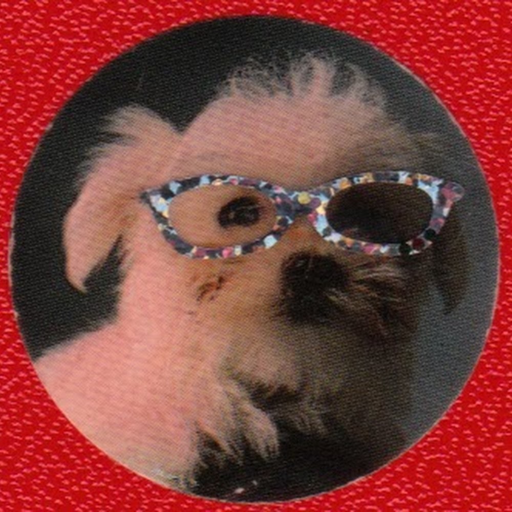 Meet your Posher, Susan