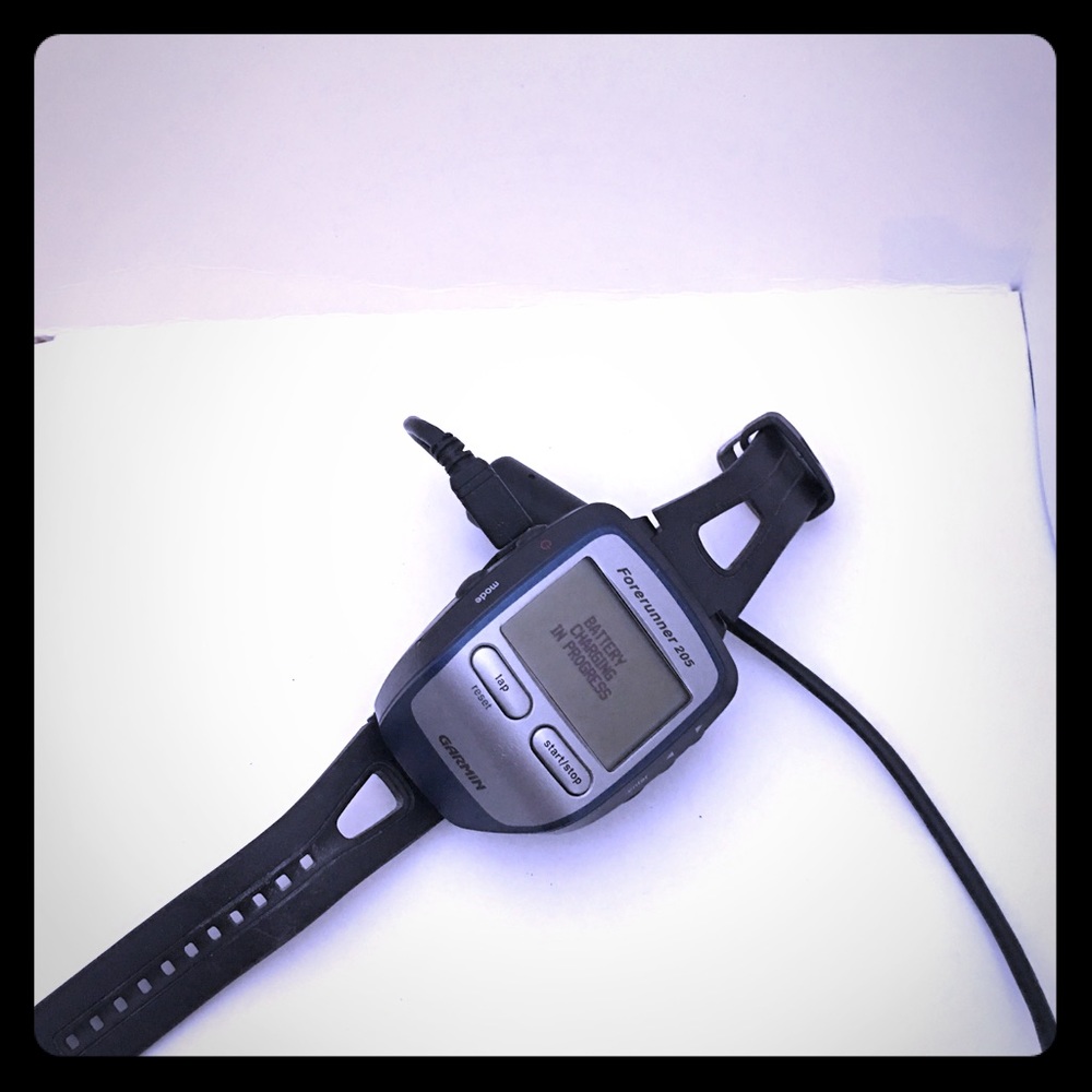 Garmin Forerunner 205