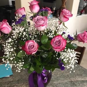 Meet your Posher, Amy