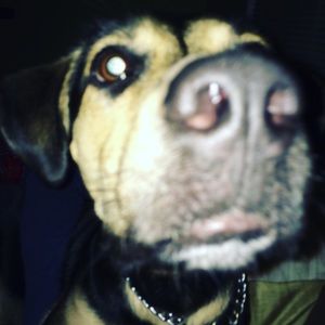 Meet your Posher, Samantha