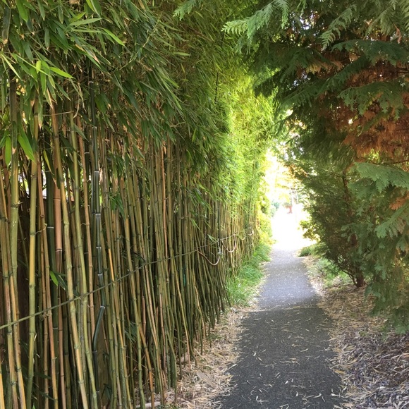 Meet your Posher, Sally - Picture 5 of 8