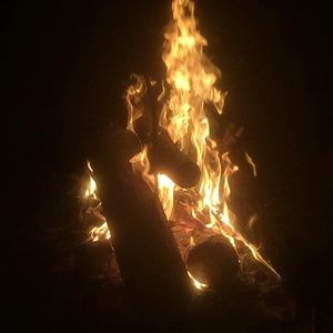 Meet your Posher, Jerry