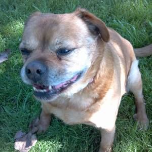 Meet your Posher, Cathy