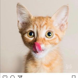 Meet your Posher, Monica