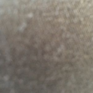 Meet your Posher, Colleen