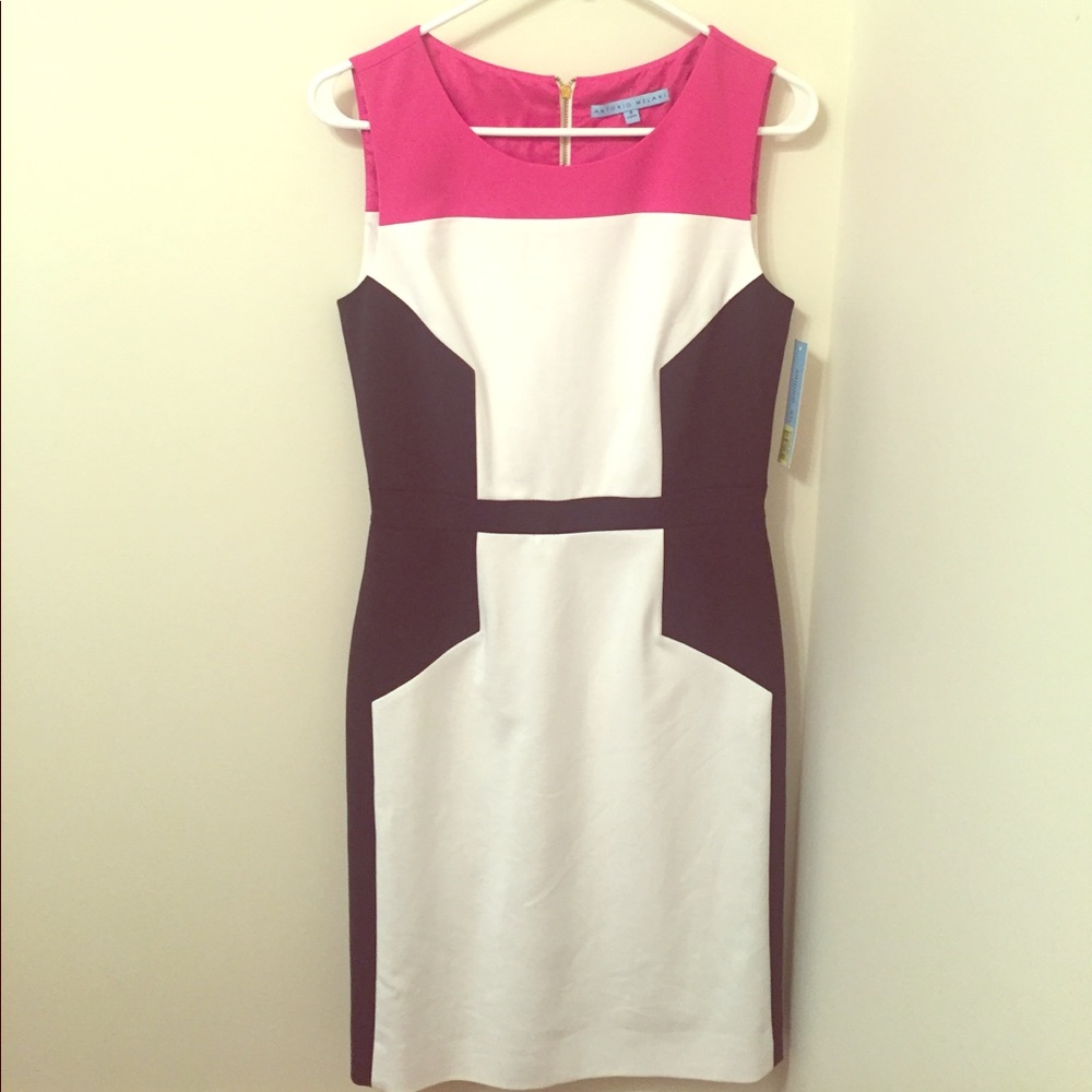 Color blocked Professional Work Dress
