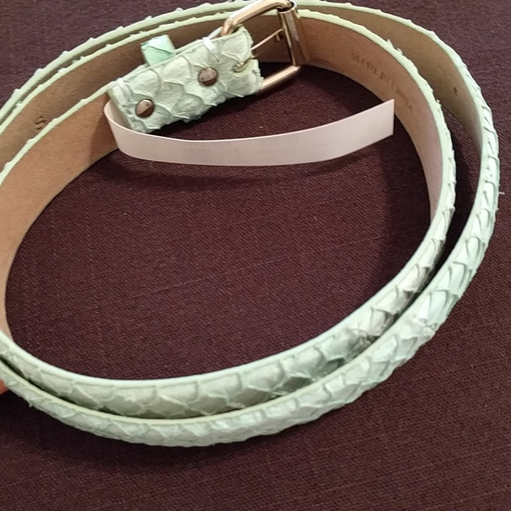 NWT Ann Taylor Seafoam Green Textured Leather belt