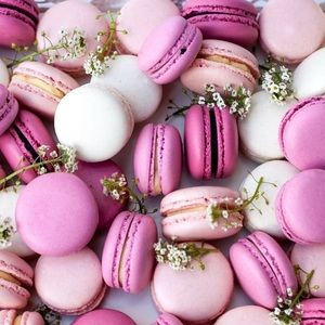 Meet your Posher, Addison