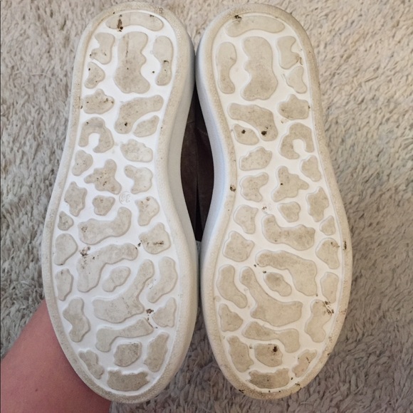 Velvet Steve Madden Shoes - Picture 6 of 8