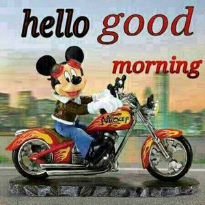 Meet your Posher, Delores