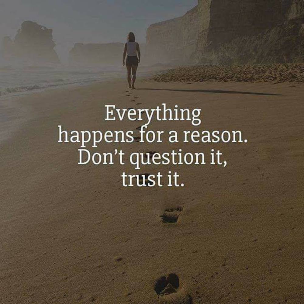 Meet your Posher, Plamedi