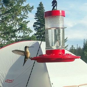 Meet your Posher, Cassidy