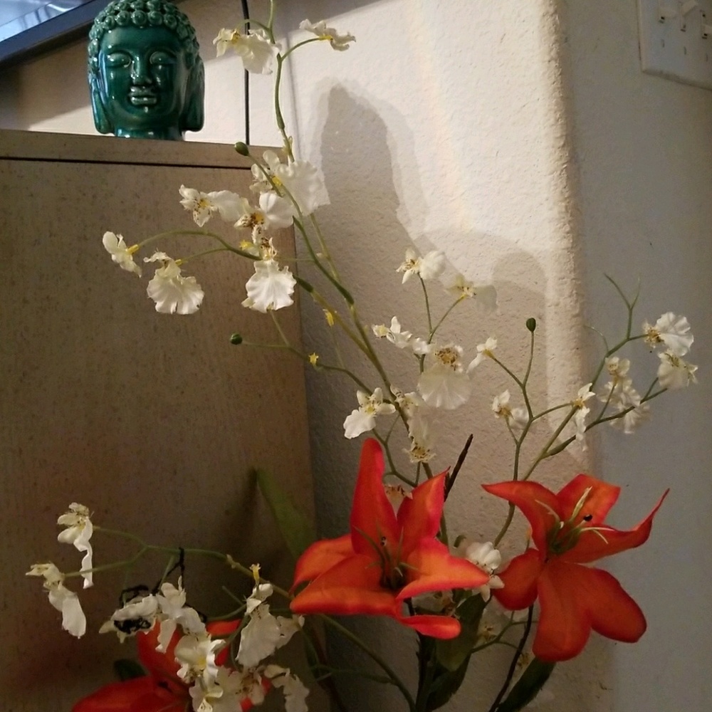 Meet your Posher, Ashleigh