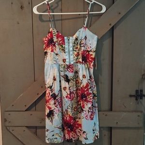 Alyn Paige: New York--Floral Fit & Flare Dress