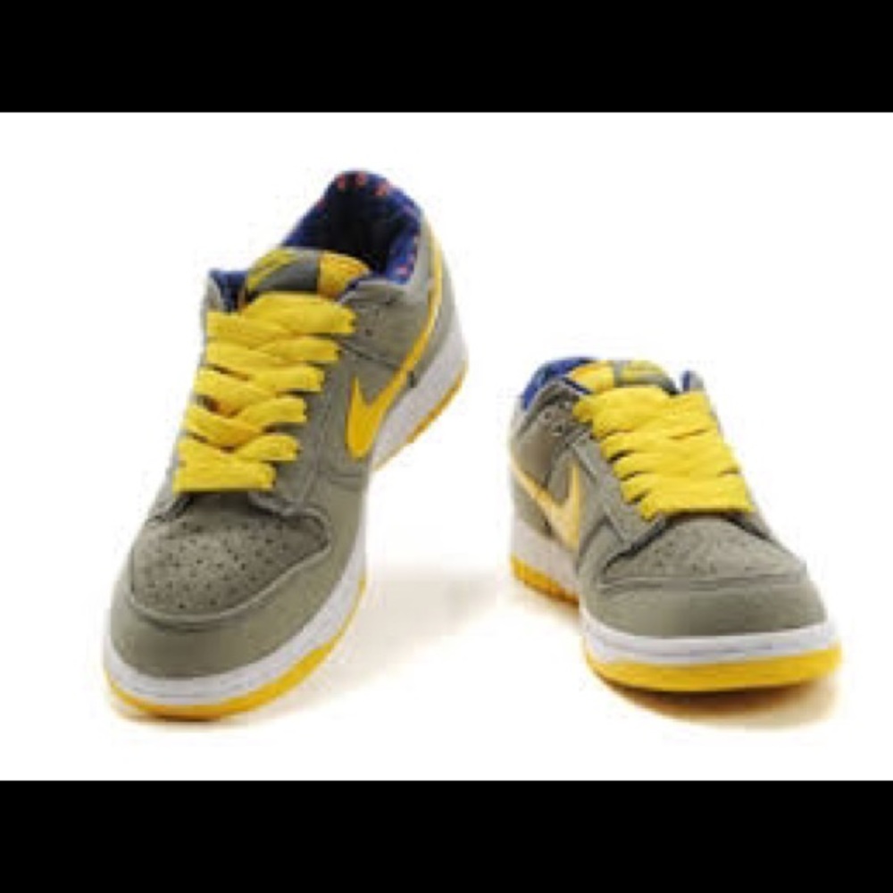 Classic Nike Dunk Low Womens