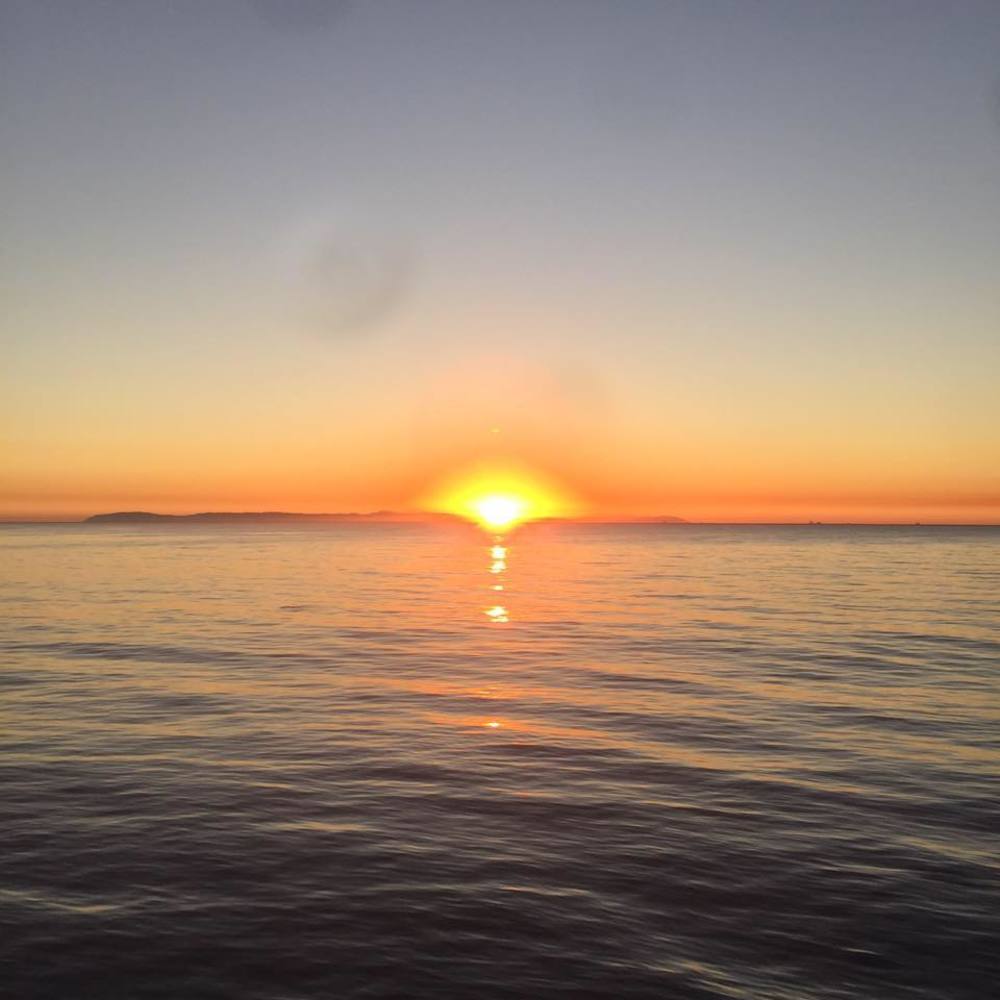 Meet your Posher, Frank