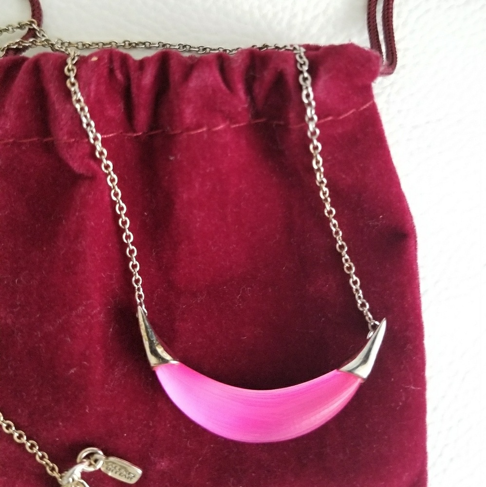 Alexis Bittar necklace