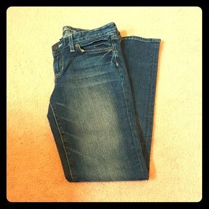 Gap Premium Skinny Jeans