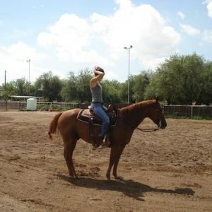 Meet your Posher, Fallon