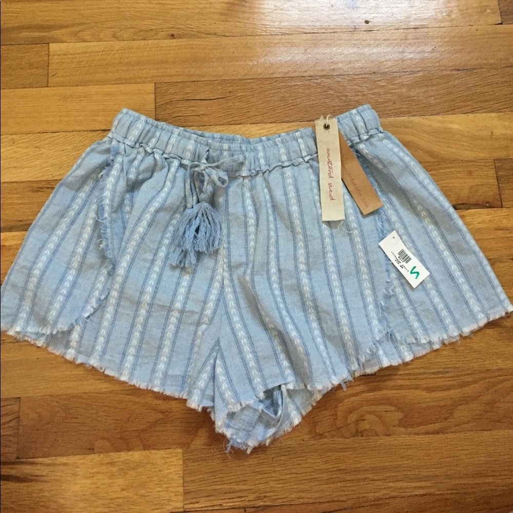 Brand New Vintage Blue Shorts