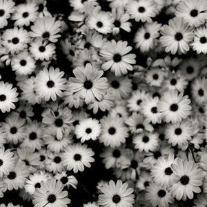 Meet your Posher, Erinn