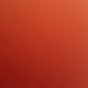 Meet your Posher, Ebony