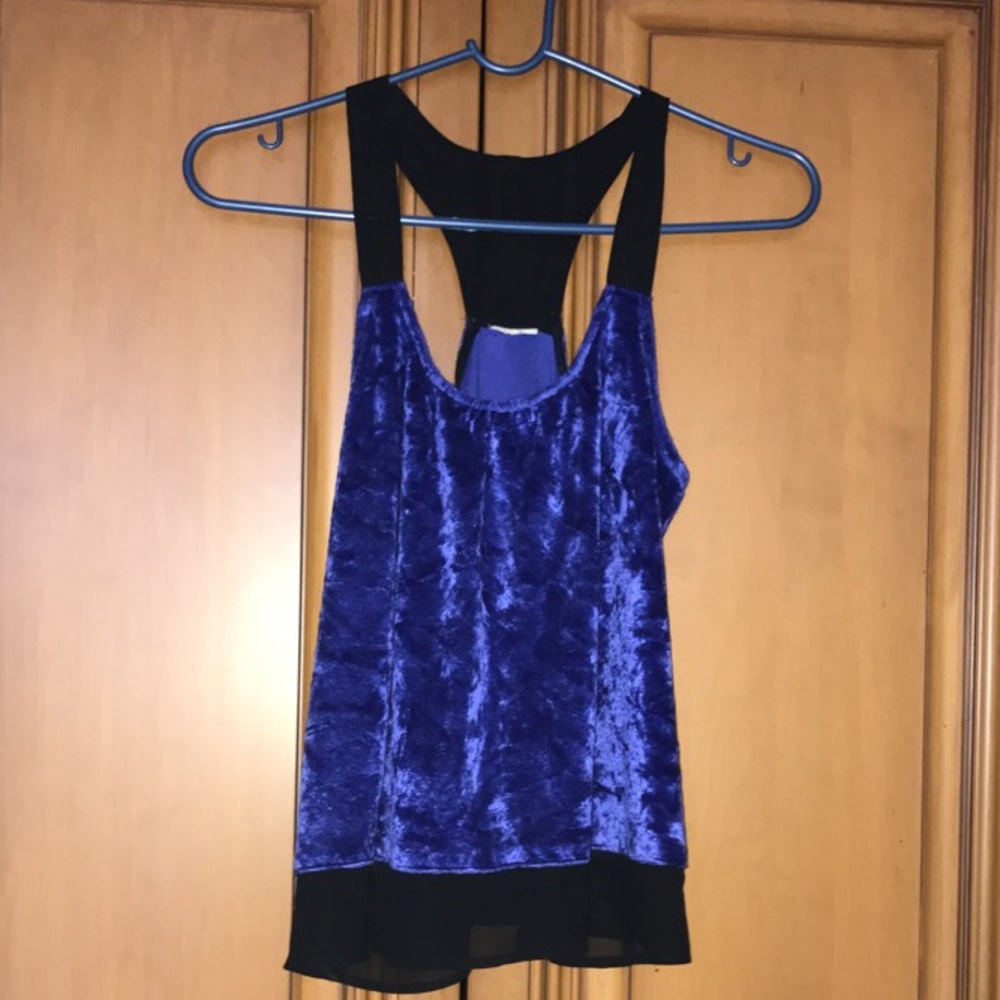 Dark purple velvet and sheer black blouse