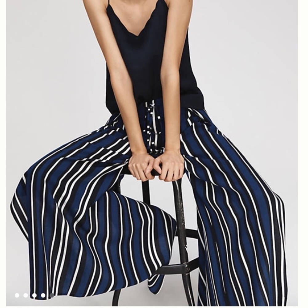 Maeve Navy Wide Leg Striped Pants!