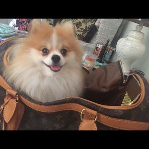 Louis Vuitton dog carrier sac chien 50 authentic