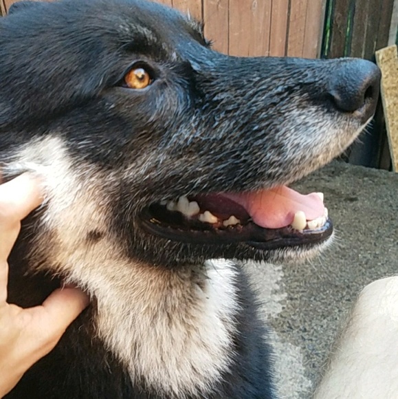 Meet your Posher, Adam - Picture 1 of 1