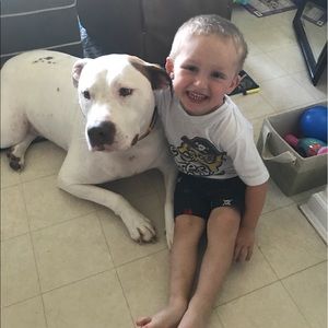 Meet your Posher, Bill