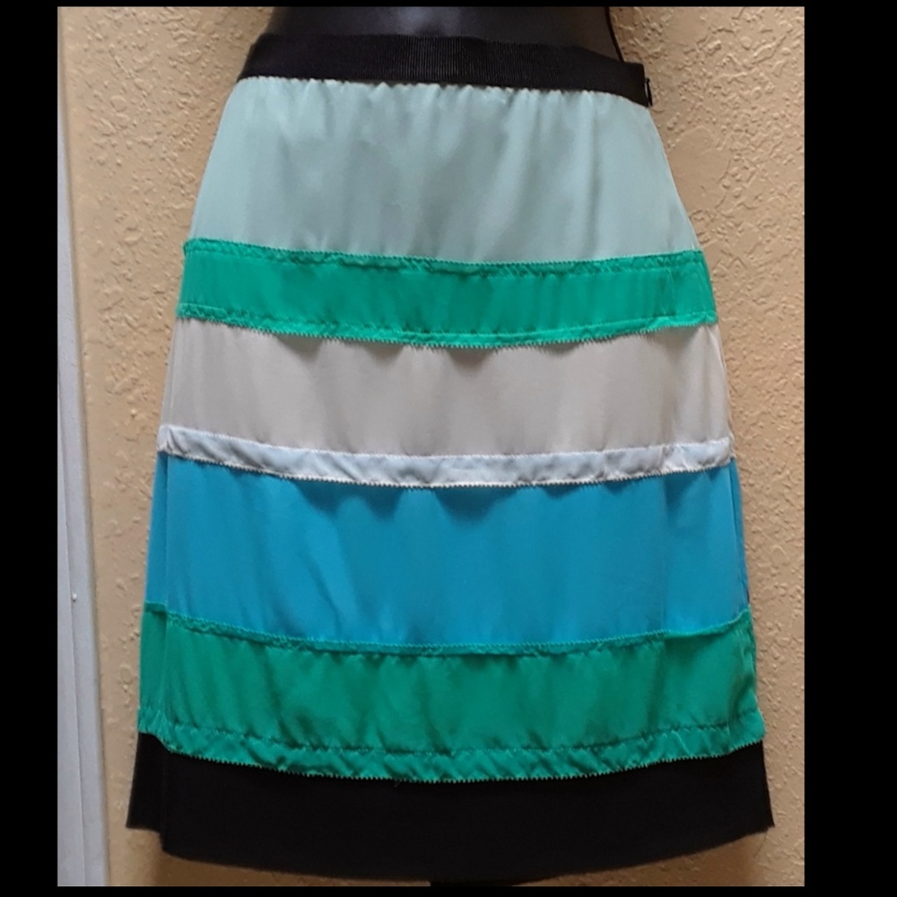 Ann Taylor skirt