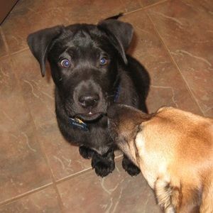 Meet your Posher, Micki