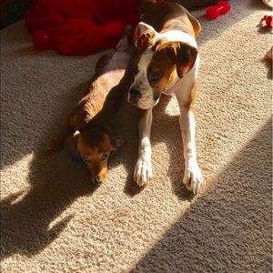 Meet your Posher, Brittany